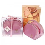 Cosmetic gift case
